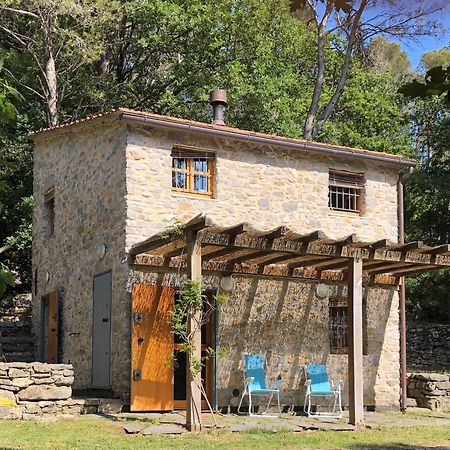 Casa Nel Bosco Sul Golfo Dei Poeti - Cipressi Villa Montemarcello Eksteriør billede